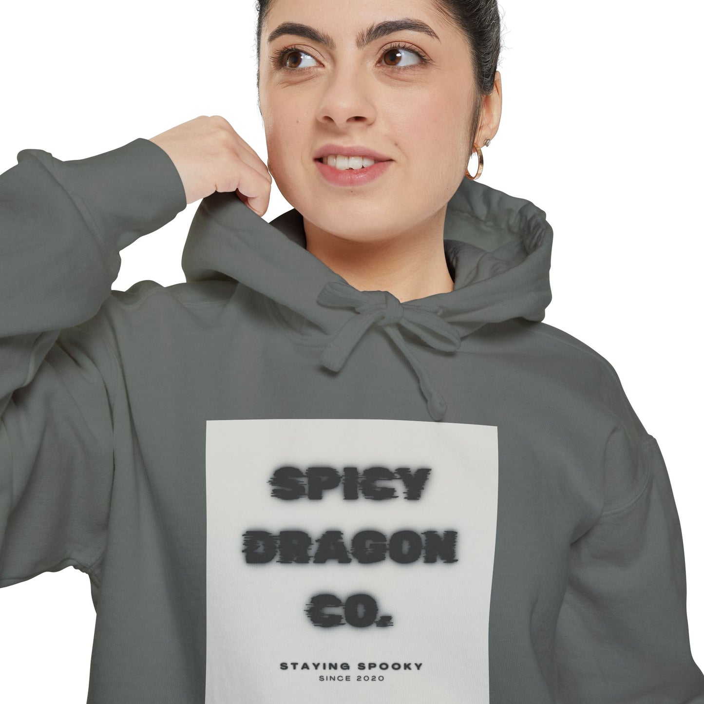 Spicy Dragon Co. Logo Comfort Colors Hoodie