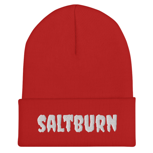 Saltburn Beanie