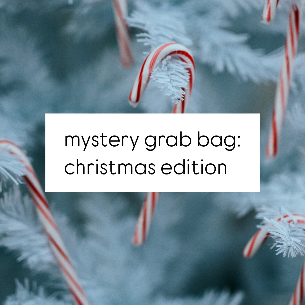 mystery grab bag: christmas edition (t-shirt, beanie, iced coffee koozie, bookmark, pen, & stickers)