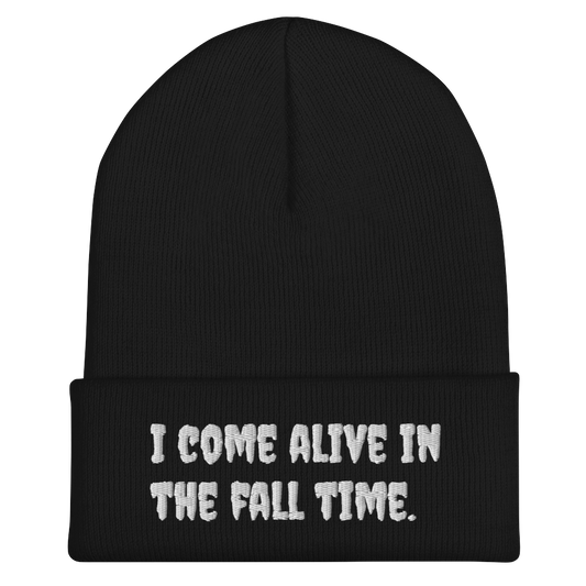 Fall Time Beanie